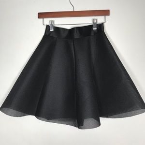 Express Skirt